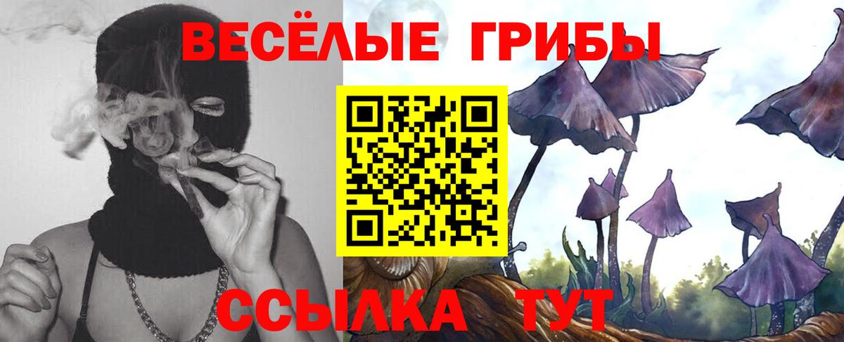 Екатеринбург  Галлюциногенные грибы Psilocybine cubensis  Галлюциногенные грибы ЛСД  Вход с VPN 